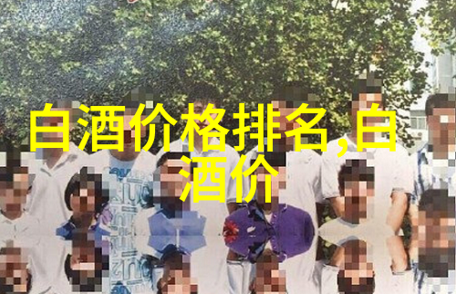 蚌埠白酒价格探秘千元价位段的优选与性价比之选 蚌埠白酒多少钱一瓶52度