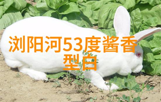 四川泸州查获大批涉嫌违规特供酒包材